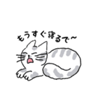 キジネコ日記（個別スタンプ：8）