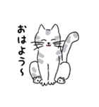キジネコ日記（個別スタンプ：9）