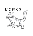 キジネコ日記（個別スタンプ：14）