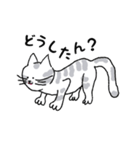 キジネコ日記（個別スタンプ：15）