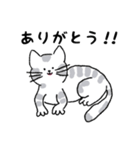 キジネコ日記（個別スタンプ：17）