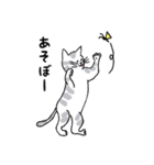 キジネコ日記（個別スタンプ：20）