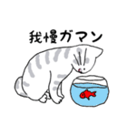 キジネコ日記（個別スタンプ：21）