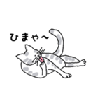 キジネコ日記（個別スタンプ：23）