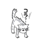 キジネコ日記（個別スタンプ：25）