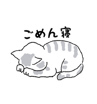 キジネコ日記（個別スタンプ：28）