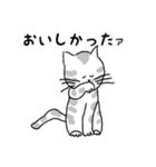キジネコ日記（個別スタンプ：29）