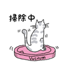 キジネコ日記（個別スタンプ：32）