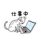 キジネコ日記（個別スタンプ：37）