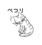 キジネコ日記（個別スタンプ：38）