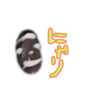 ボーイボーイマウンテンボーイ（個別スタンプ：1）