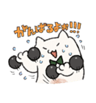 ねこもちとくまぷぅ（個別スタンプ：13）