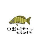 熱帯の海、珊瑚礁で会える魚たち(1)（個別スタンプ：9）