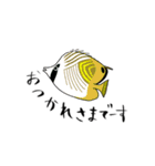 熱帯の海、珊瑚礁で会える魚たち(1)（個別スタンプ：12）