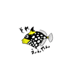 熱帯の海、珊瑚礁で会える魚たち(1)（個別スタンプ：40）