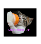じじとちくわ（個別スタンプ：2）