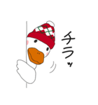 帽子のアヒル（個別スタンプ：3）