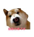 橙と紅丸（個別スタンプ：5）