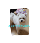 藤谷ファミリー（個別スタンプ：5）