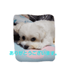藤谷ファミリー（個別スタンプ：7）