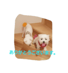 藤谷ファミリー（個別スタンプ：8）