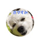 べるべるべるみ（個別スタンプ：1）
