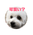 べるべるべるみ（個別スタンプ：5）