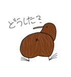 煽るキウイバード（個別スタンプ：14）