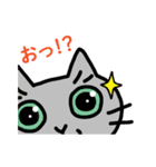 猫観察えにっき・ロシアンブルー第2弾（個別スタンプ：30）