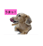 うまっ！みーちゃん（個別スタンプ：2）