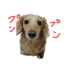 うまっ！みーちゃん（個別スタンプ：3）