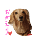 うまっ！みーちゃん（個別スタンプ：7）