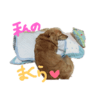 うまっ！みーちゃん（個別スタンプ：8）