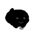 幸運を呼ぶ黒い猫（個別スタンプ：4）