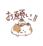 もふもふねこの使いやすい日常スタンプ（個別スタンプ：13）