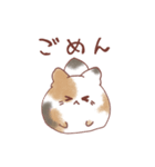 もふもふねこの使いやすい日常スタンプ（個別スタンプ：17）