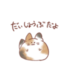 もふもふねこの使いやすい日常スタンプ（個別スタンプ：37）