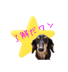 チョコ！！！第1弾（個別スタンプ：1）