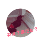 チョコ！！！第1弾（個別スタンプ：4）