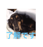 チョコ！！！第1弾（個別スタンプ：6）