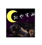 チョコ！！！第1弾（個別スタンプ：7）