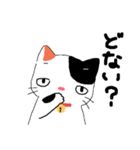 【関西弁】鈴を付けた三毛猫さん（個別スタンプ：1）