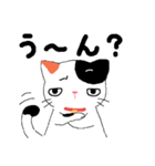 【関西弁】鈴を付けた三毛猫さん（個別スタンプ：11）