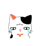 【関西弁】鈴を付けた三毛猫さん（個別スタンプ：14）