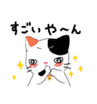 【関西弁】鈴を付けた三毛猫さん（個別スタンプ：17）