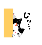【関西弁】鈴を付けた三毛猫さん（個別スタンプ：24）