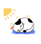 【関西弁】鈴を付けた三毛猫さん（個別スタンプ：26）