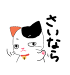 【関西弁】鈴を付けた三毛猫さん（個別スタンプ：40）