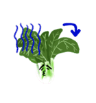 意思を持った野菜たち（個別スタンプ：20）