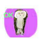 フクロウ手描き（個別スタンプ：1）